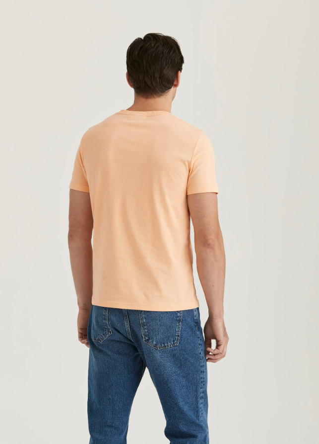 Morris Logan T-Skjorte Bomull Lys Oransje bakfra